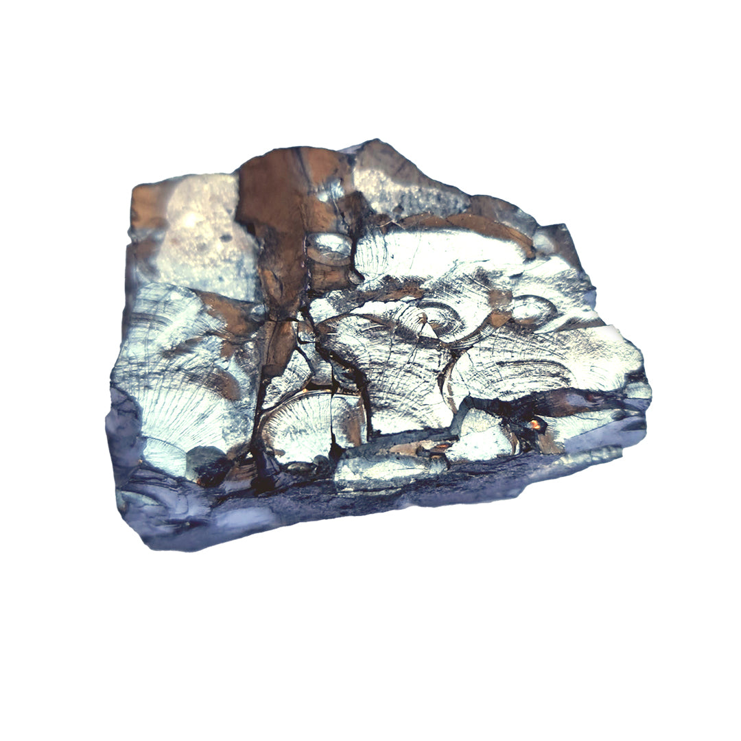 Schungit edel Mineralien von Steinwelten
