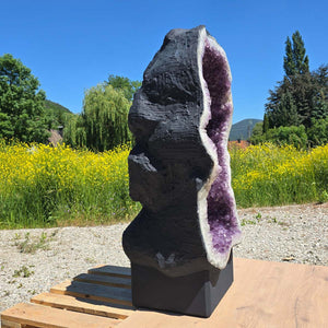 Amethyst Druse – Geode – Harmonie und Entspannung - 130x75x54cm - Nr. 101