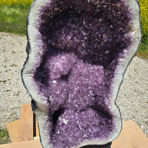 Amethyst Druse – Geode – Harmonie und Entspannung - 130x75x54cm - Nr. 101