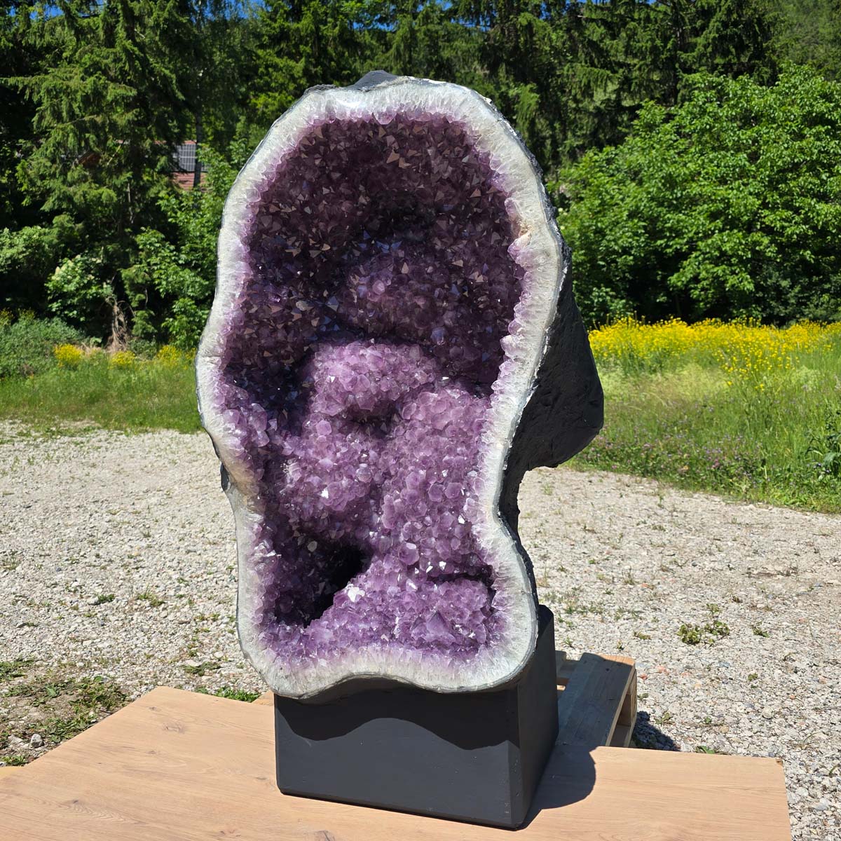 Amethyst Druse – Geode – Harmonie und Entspannung - 130x75x54cm - Nr. 101
