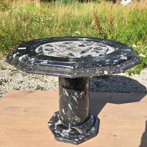Couchtisch mit Orthoceras und Ammoniten - 74x56cm - Fossilien Naturstein - Nr.10