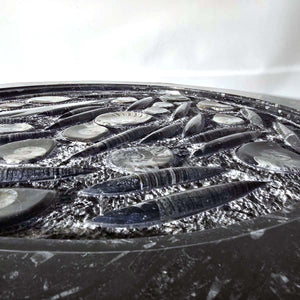 Couchtisch mit Orthoceras und Ammoniten - 106x62cm - Fossilien Naturstein - Nr.11
