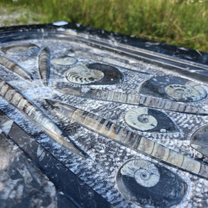 Couchtisch mit Orthoceras und Ammoniten 90x54cm Höhe 53cm - Fossilien Naturstein - Nr.12