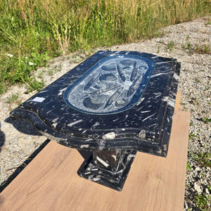 Couchtisch mit Orthoceras und Ammoniten 90x54cm Höhe 53cm - Fossilien Naturstein - Nr.12