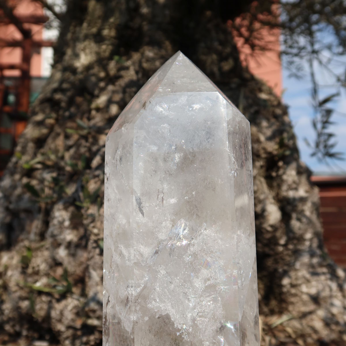 Bergkristall, Quarz, Obelisk geschliffen UNIKAT Nr. 12 vor einem Baum im Hintergrund.