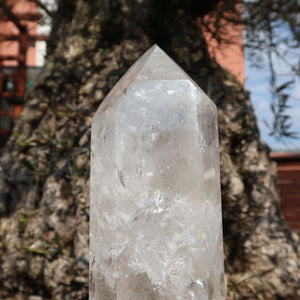 Bergkristall, Quarz, Obelisk geschliffen UNIKAT Nr. 12 vor einer alten Baumrinde im Sonnenlicht.