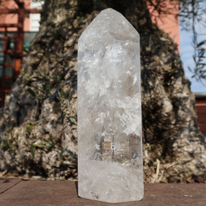 Bergkristall, Quarz, Obelisk geschliffen UNIKAT Nr. 12 vor großem Baum, geformt aus natürlichem Quarz.