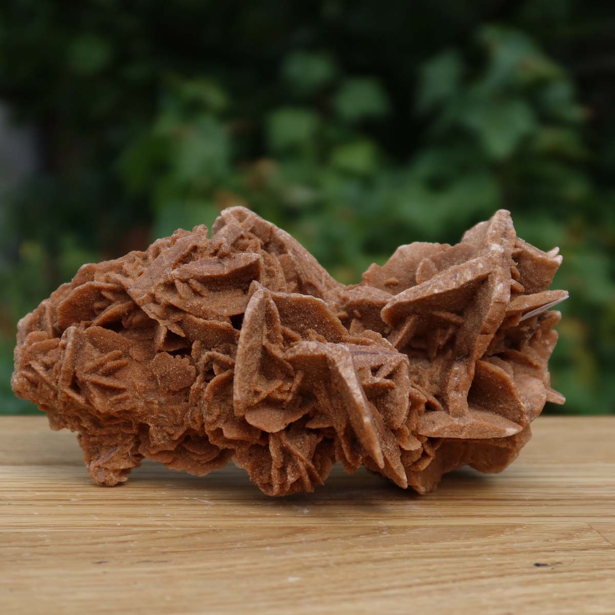Wunderschöne Sandrose / Wüstenrose -14x8x6 cm – Exklusive Stücke für Sammler und Liebhaber Unikat Nr.14