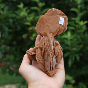 Wunderschöne Sandrose / Wüstenrose - 13x8x7 cm – Exklusive Stücke für Sammler und Liebhaber Unikat Nr.15