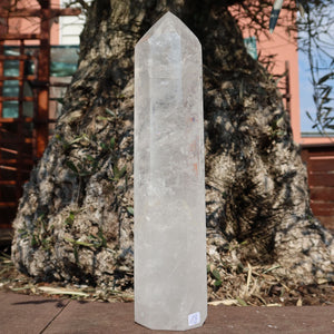 Bergkristall, Quarz, Obelisk geschliffen UNIKAT Nr. 18 vor Olivenbaum im Freien, edles Naturprodukt.