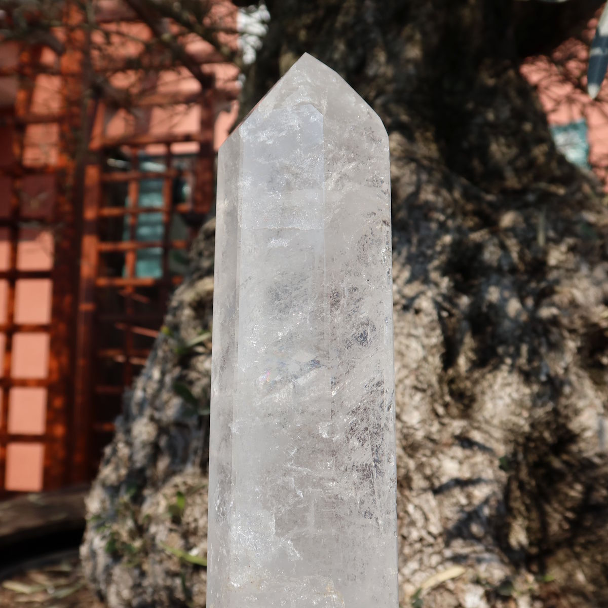 Bergkristall, Quarz, Obelisk geschliffen UNIKAT Nr. 18 vor Olivenbaum im Freien, edles Naturprodukt.