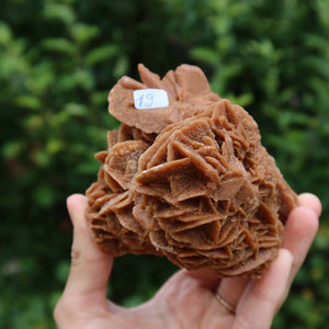 Wunderschöne Sandrose / Wüstenrose - 10x9x8 cm – Exklusive Stücke für Sammler und Liebhaber Unikat Nr.19