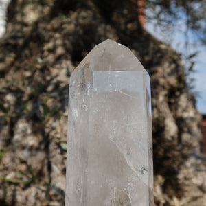 Bergkristall, Quarz, Obelisk geschliffen UNIKAT Nr. 1 vor einem natürlichen Hintergrund.