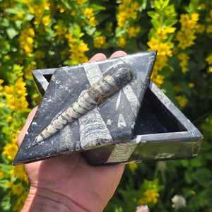 Krabička na orthoceras ve tvaru kosočtverce - 17x10 cm - Fosilní kámen - č. 18