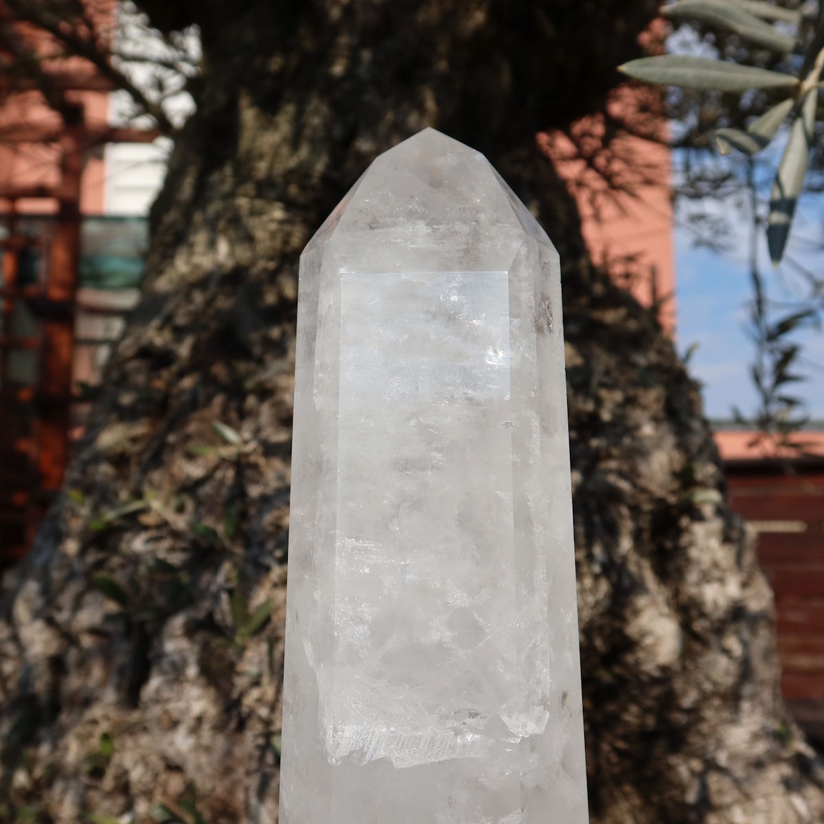 Bergkristall, Quarz, Obelisk geschliffen UNIKAT Nr. 20 vor einem Baum im Freien, einzigartig und poliert.