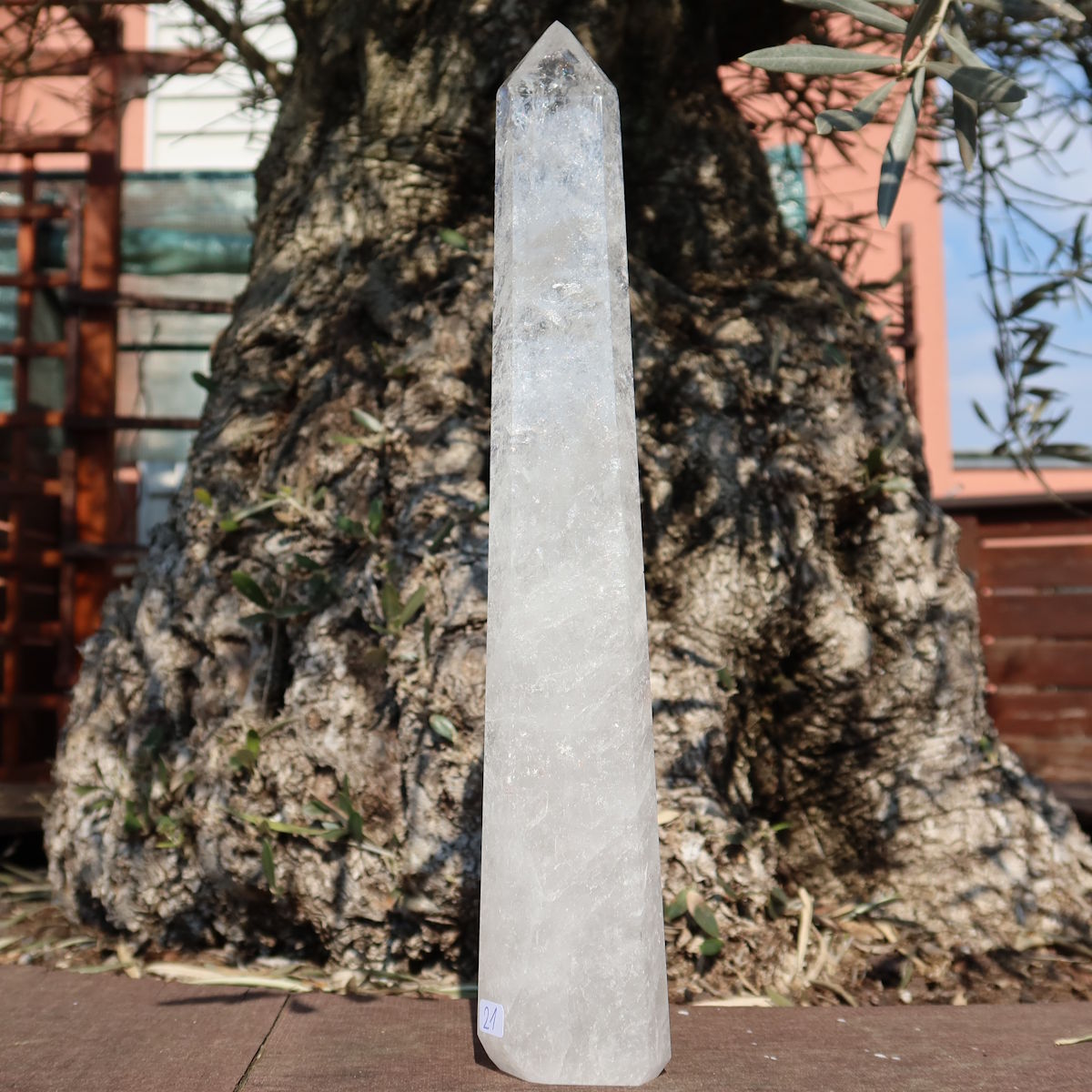 Bergkristall, Quarz, Obelisk geschliffen UNIKAT Nr. 21 vor einer alten Olive