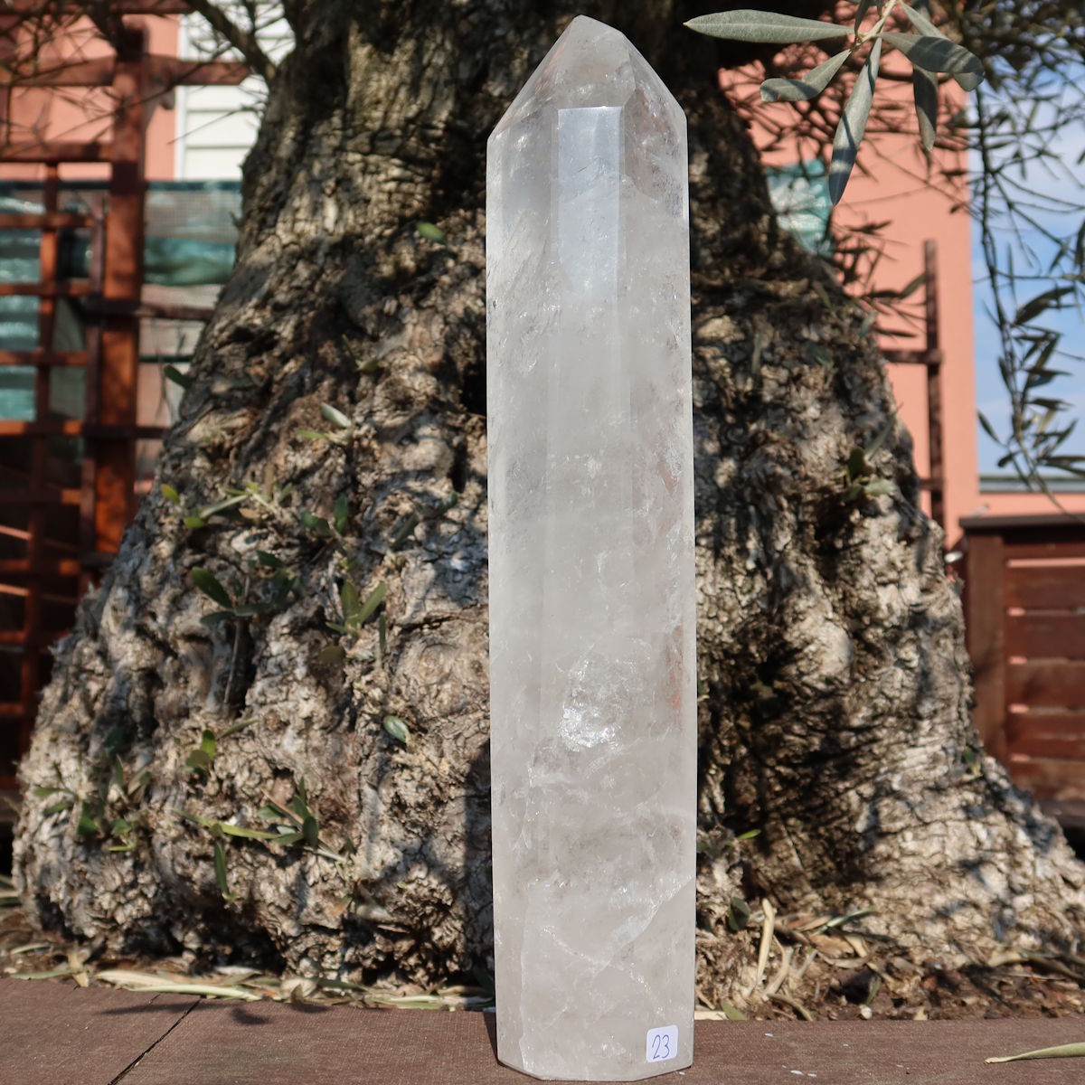Bergkristall, Quarz, Obelisk geschliffen UNIKAT Nr. 23 vor einem Baum im Freien