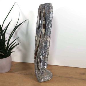 Ammonit - Versteinertes echtes Fossil mit Natursteinsockel, 40 x 26 cm - Nr. 2