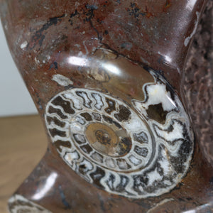 Sculpture en fossiles d'Orthoceras et d'Ammonites – 54x38cm 22kg de l'ère préhistorique n°42