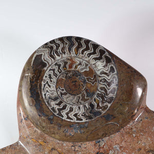 Skulptur aus Orthoceras- a Ammonitten-Fossilien – 60x42cm 13kg – aus der Urzäit Nr.43