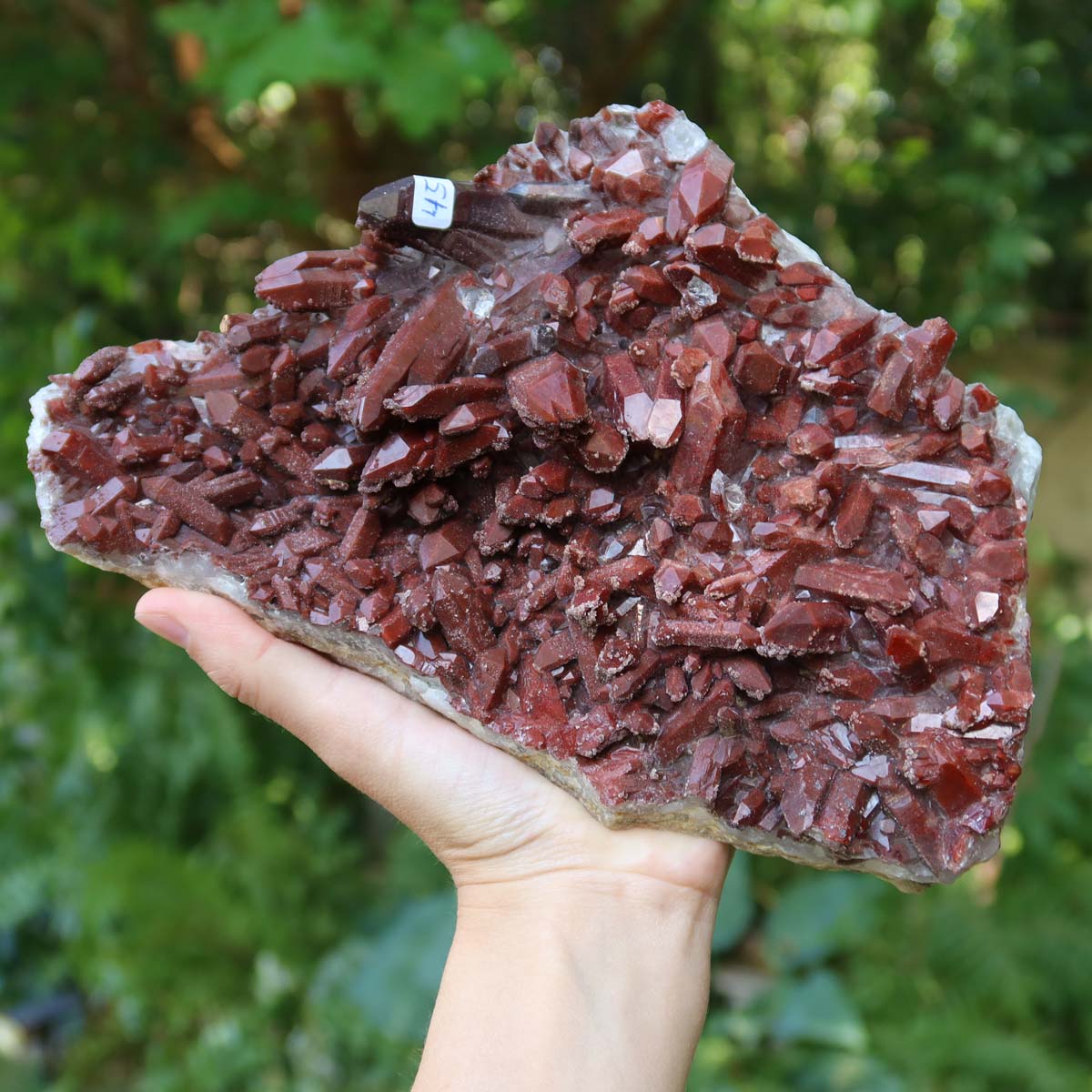 Seltene Hämatit Quarz Bergkristall Stufe (Eisenquarz) 22x15x8cm Marokko Nr. 45