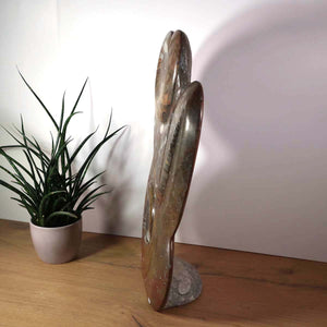 Sculpture en orthoceras et fossiles d'ammonites – 54x30cm 13,5kg - de la préhistoire n°46