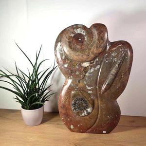 Sculpture en orthoceras et fossiles d'ammonites – 54x30cm 13,5kg - de la préhistoire n°46