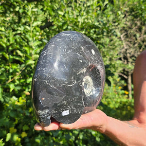 Ammonit - Echtes versteinertes Fossil - 100 Millionen Jahre alt - 25x21 cm - NR. 75