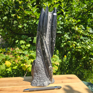 Geschliffene Freiform (Turm) mit Ammoniten und Orthoceras – 32x10x7cm - Nr. 49