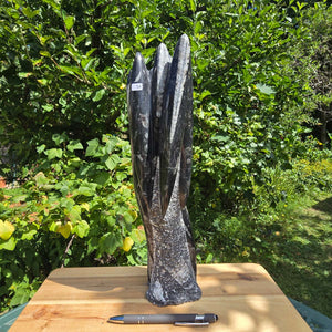Geschliffene Freiform (Turm) mit Ammoniten und Orthoceras – 36x10x8cm - Nr. 54