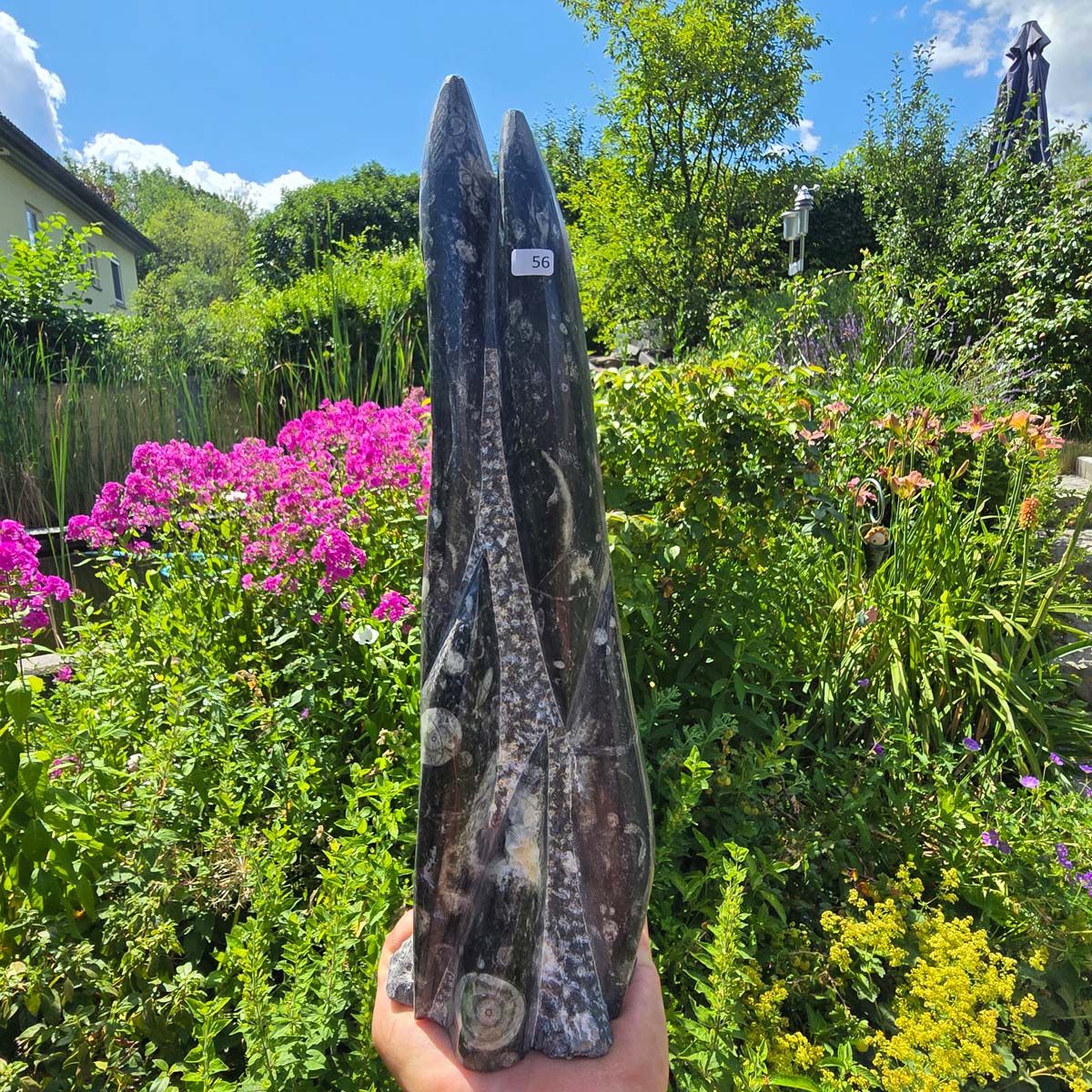 Geschliffene Freiform (Turm) mit Ammoniten und Orthoceras – 34x10x9cm - Nr. 56