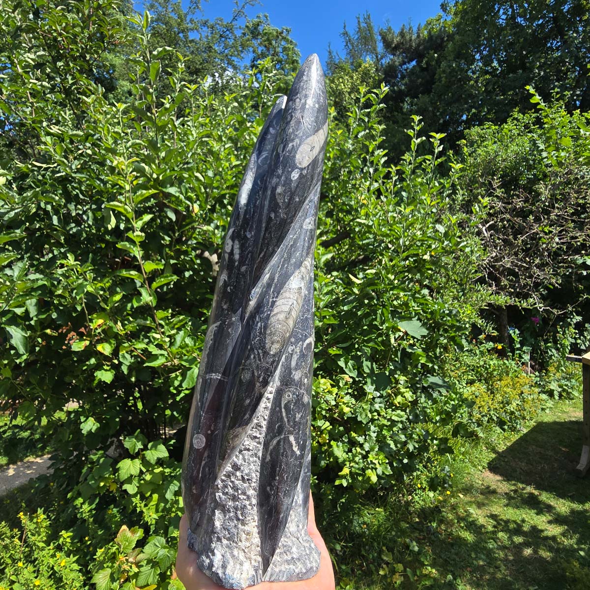 Geschliffene Freiform (Turm) mit Ammoniten und Orthoceras – 34x10x9cm - Nr. 56