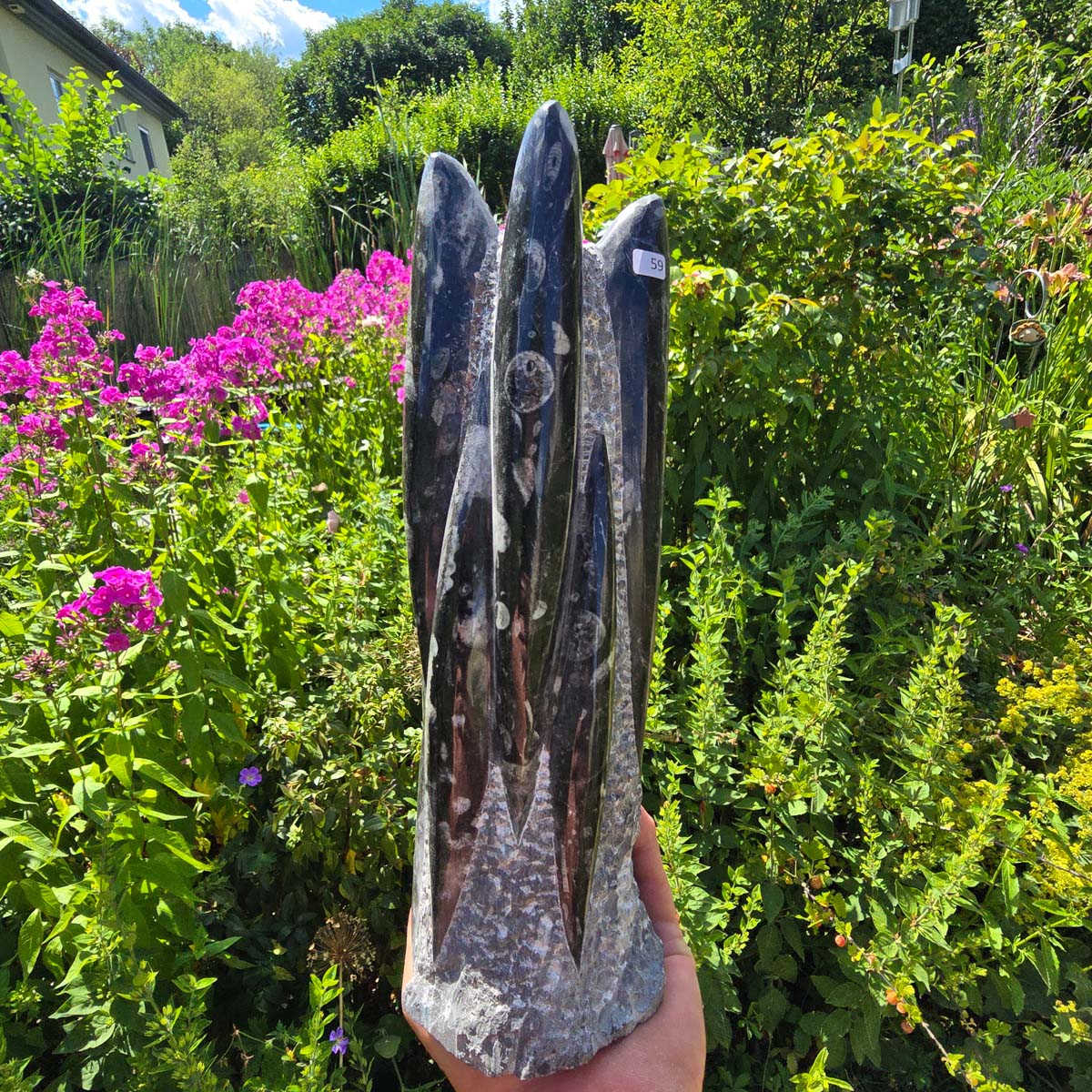 Geschliffene Freiform (Turm) mit Ammoniten und Orthoceras – 29x10x9cm - Nr. 59
