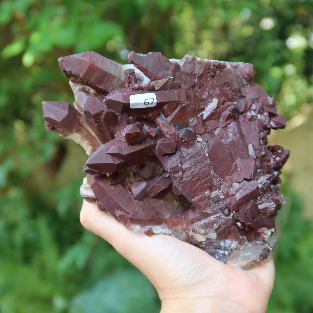 Seltene Hämatit Quarz Bergkristall Stufe (Eisenquarz) 18x12x8cm Marokko Nr. 67