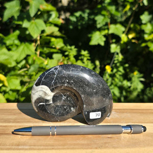 Ammonit - Echtes versteinertes Fossil - 100 Millionen Jahre alt - 10x8 cm - NR. 98