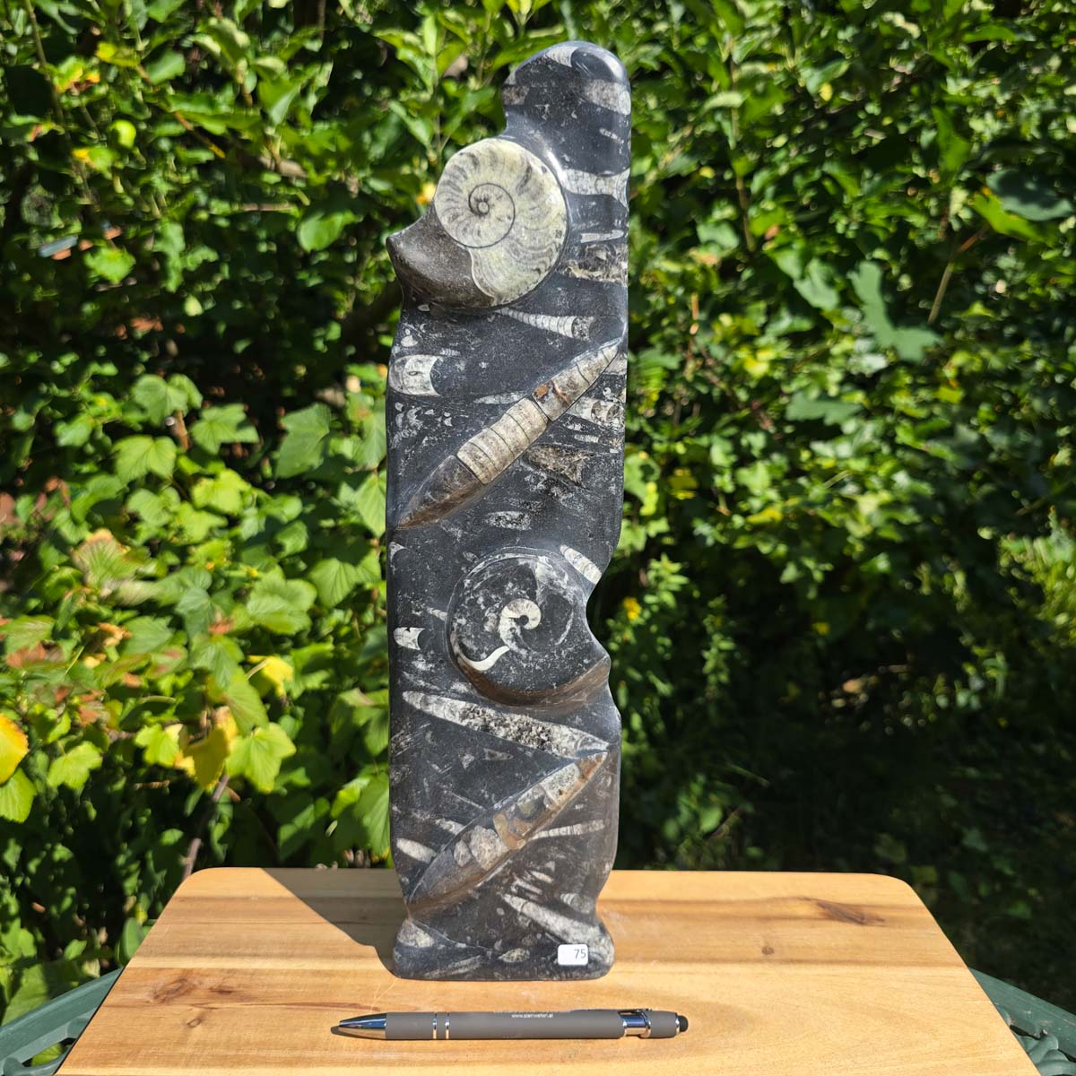 Dekorative handgefertigte Steinskulptur mit Ammoniten und Orthoceren (Fossilien) – 40x10x8cm - Nr. 75, Steinskulptur mit Fossilien.