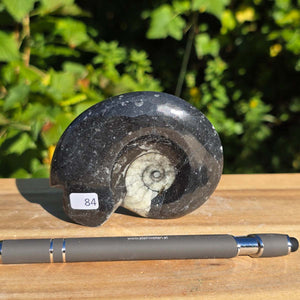 Ammonit - Echtes versteinertes Fossil - 100 Millionen Jahre alt - 9x7 cm - NR. 112