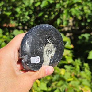 Ammonit - Echtes versteinertes Fossil - 100 Millionen Jahre alt - 9x7 cm - NR. 112