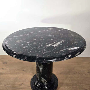 Table basse avec Orthoceras et ammonites - pierre naturelle fossile - n°9