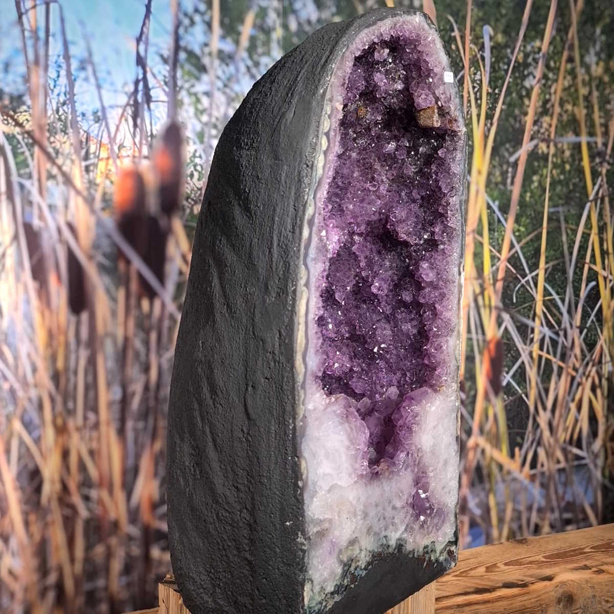 Mineralien Fachgeschäft Steinwelten 