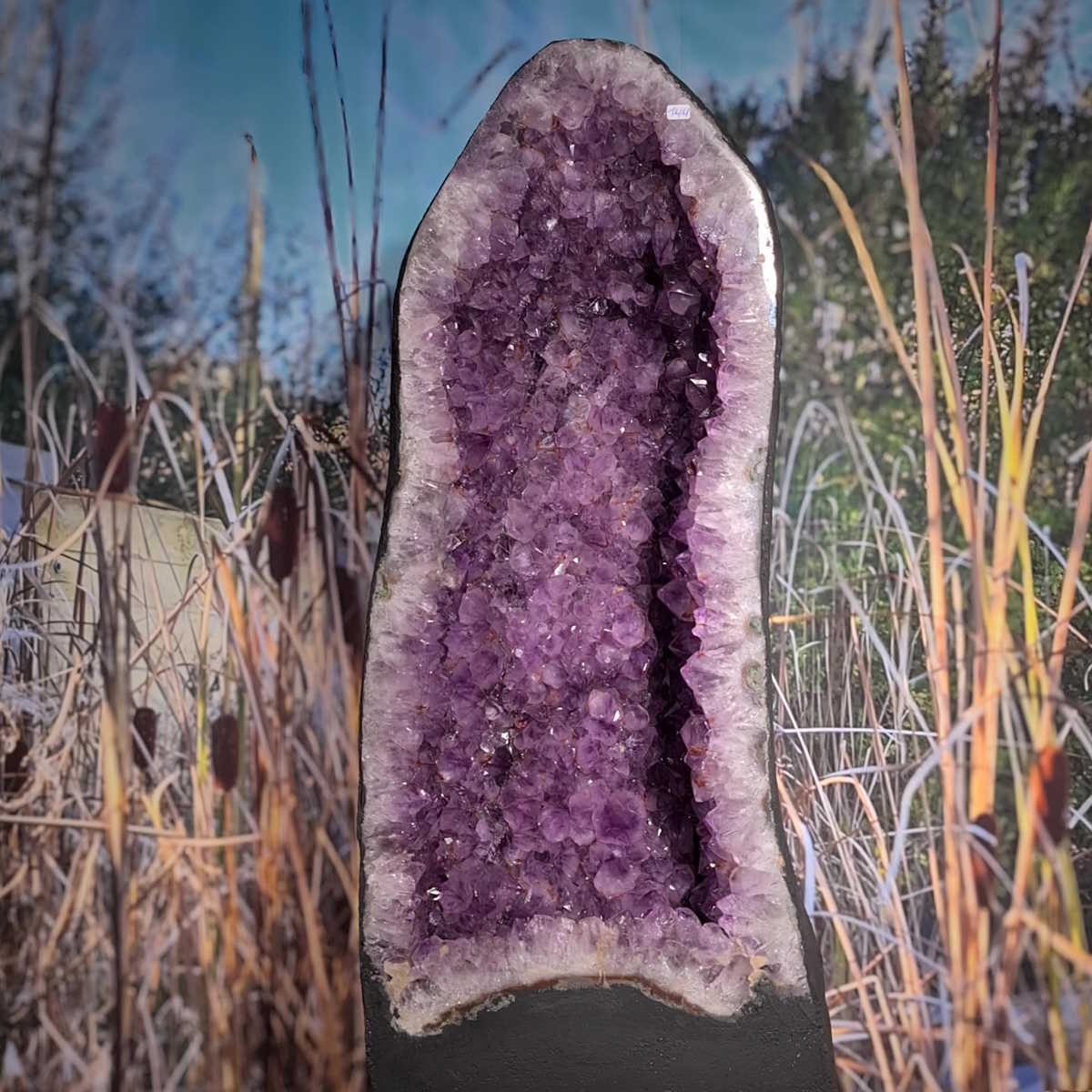 Rohe Amethystdruse Steinwelten 