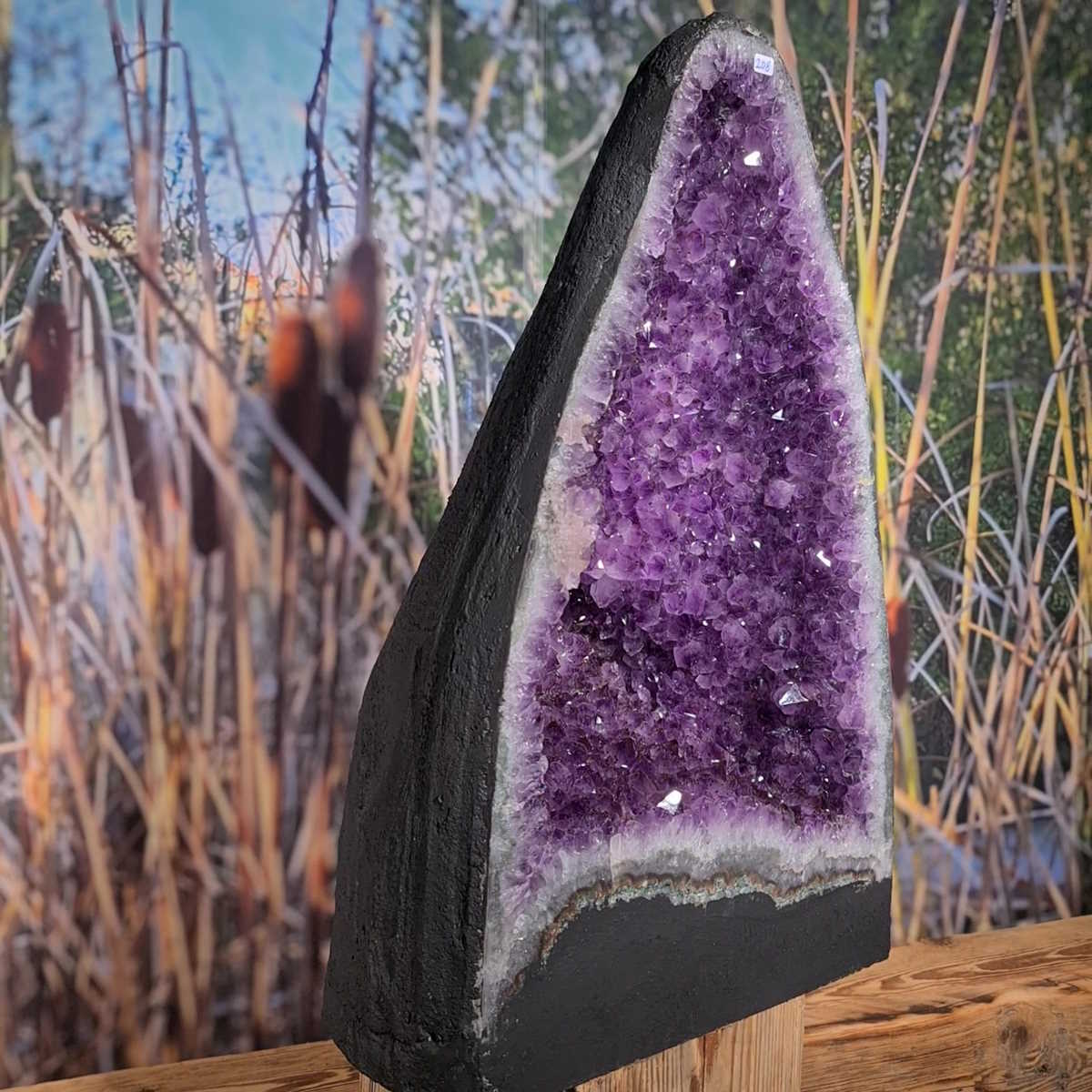 Amethyst kaufen bei Steinwelten