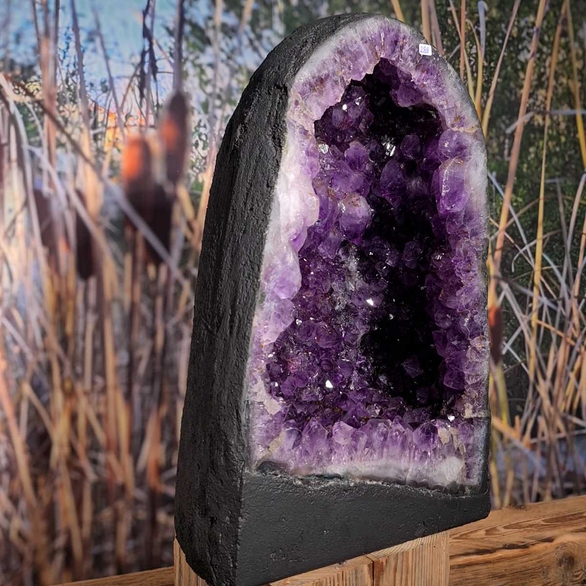 Amethyst Drusen Steinwelten