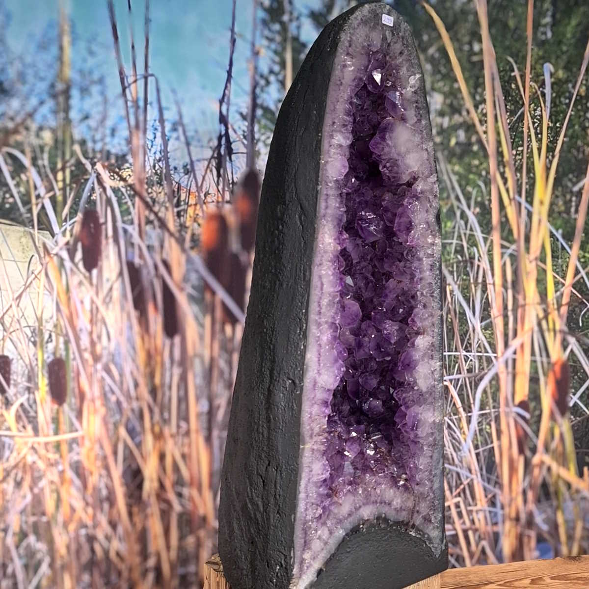 Amethyst Druse mit großen Spitzen