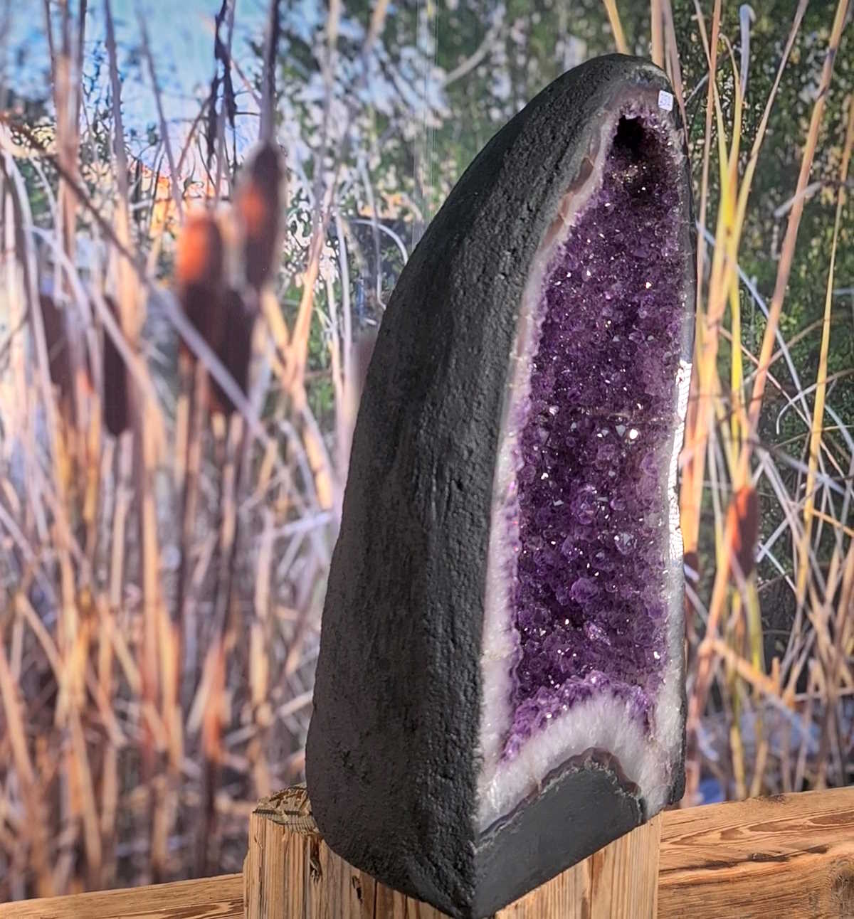 Amethyst-Druse-Geode