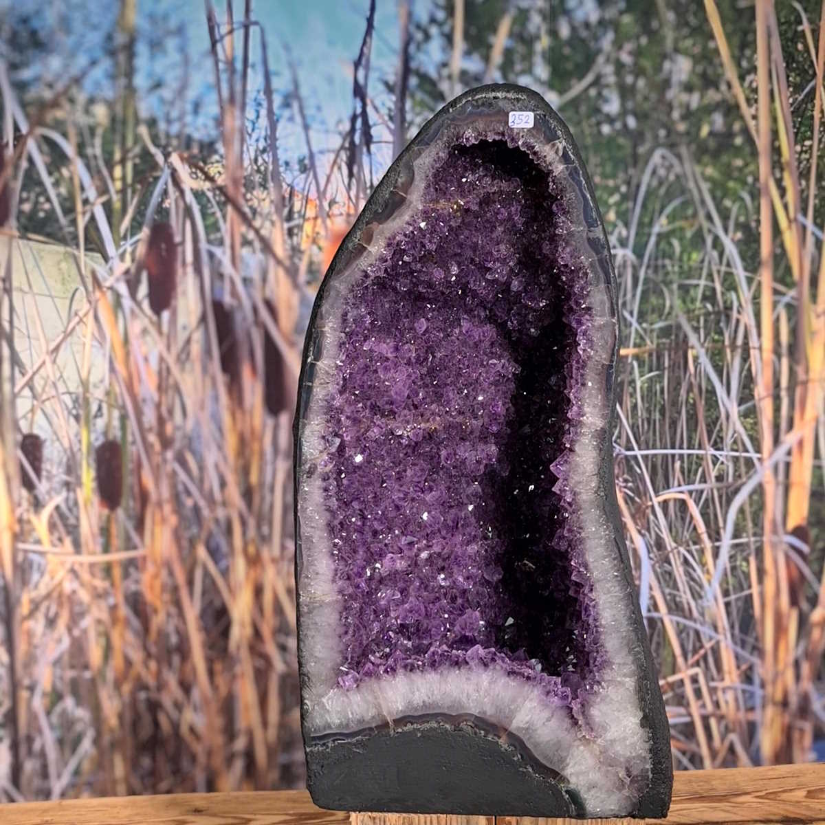 Amethyst-Druse-Geode