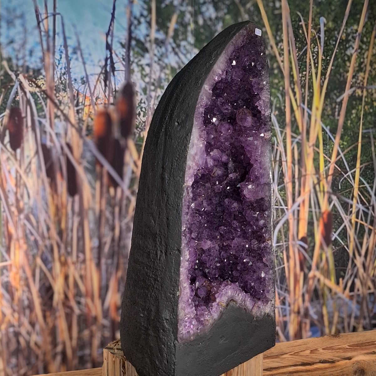 Amethystdruse, Amethyst Geode – Frieden und Harmonie, UNIKAT Nr. 355 vor einem natürlichen Hintergrund.