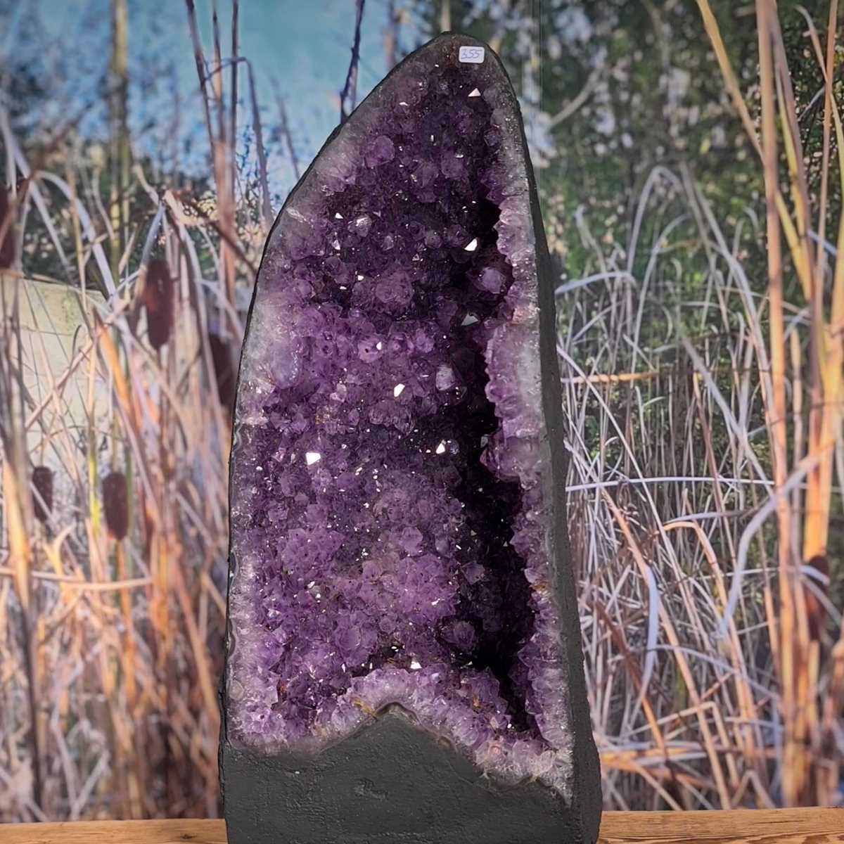 Amethystdruse, Amethyst Geode – Frieden und Harmonie, UNIKAT Nr. 355 vor einem natürlichen Hintergrund.