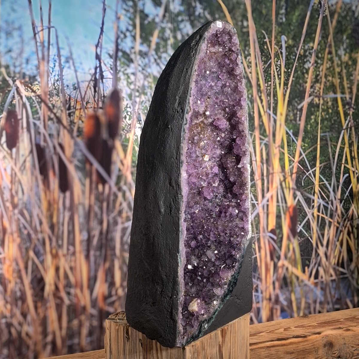 Amethyst kaufen von Steinwelten 