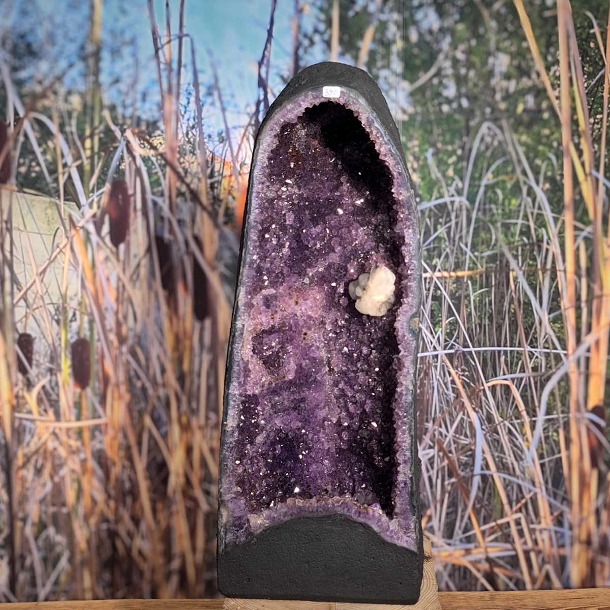 Amethyst Druse von Steinwelten kaufen